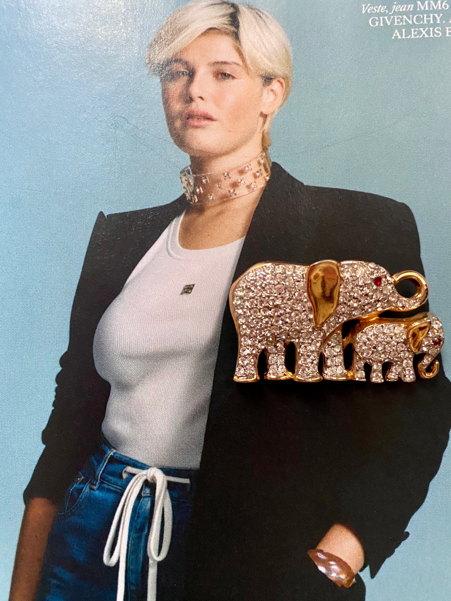Mother and daughter elephants brooch