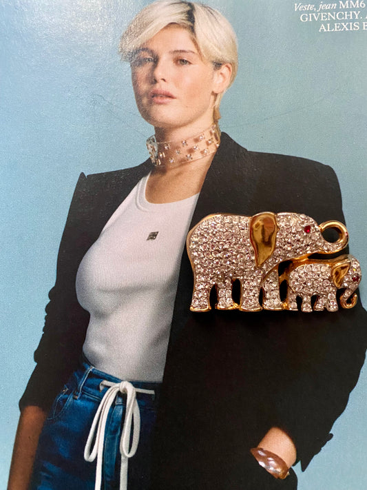 Mother and daughter elephants brooch